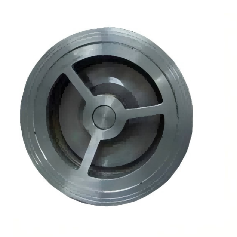 Clamp lift check valve