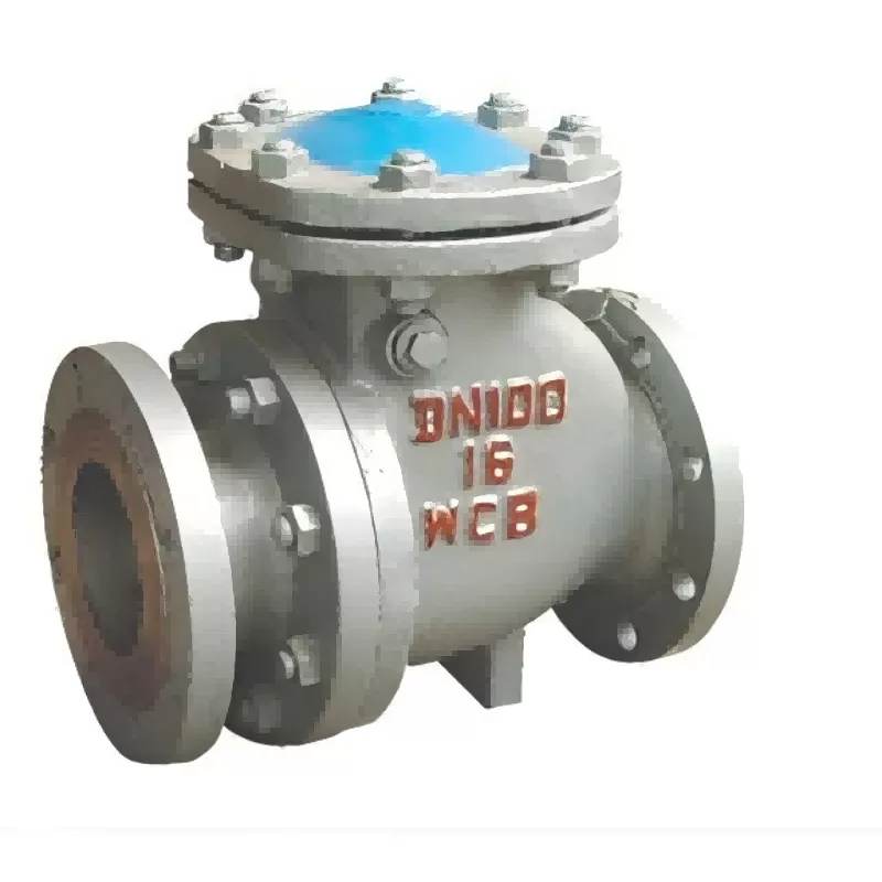 Slag discharge check valve
