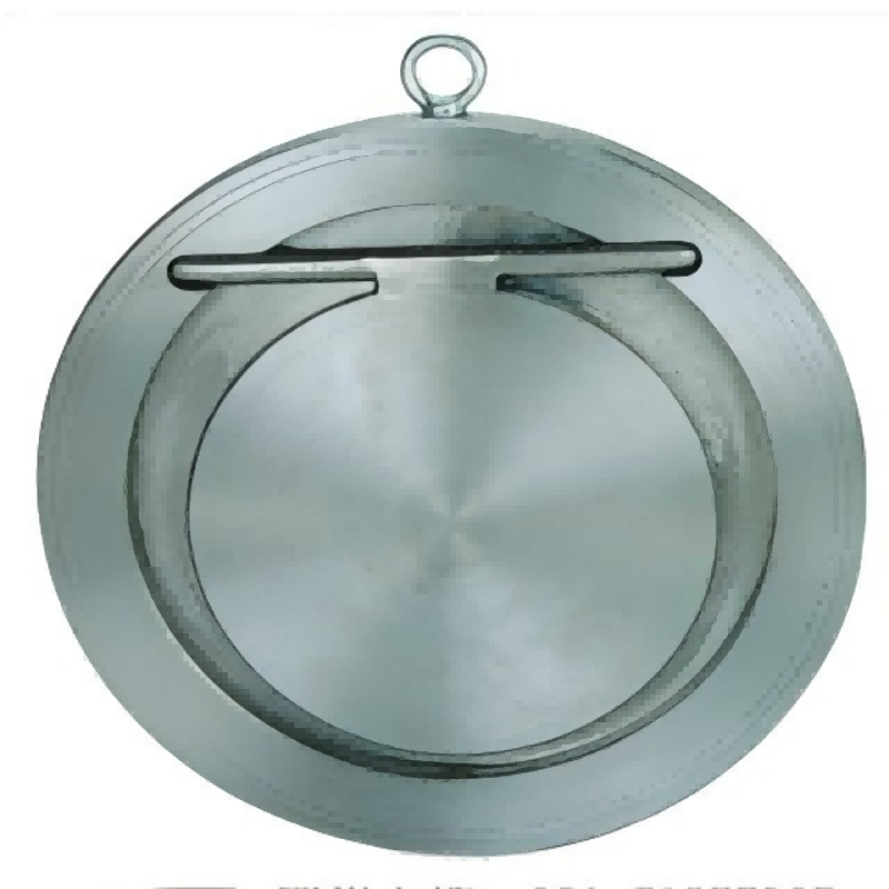 Clamp disc check valve