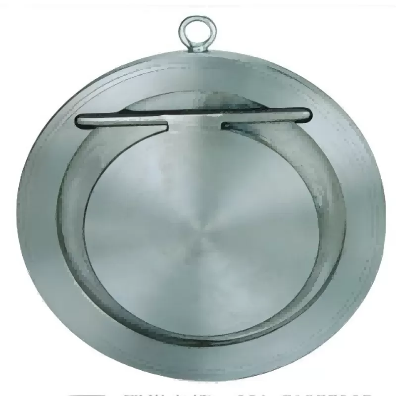 Clamp disc check valve