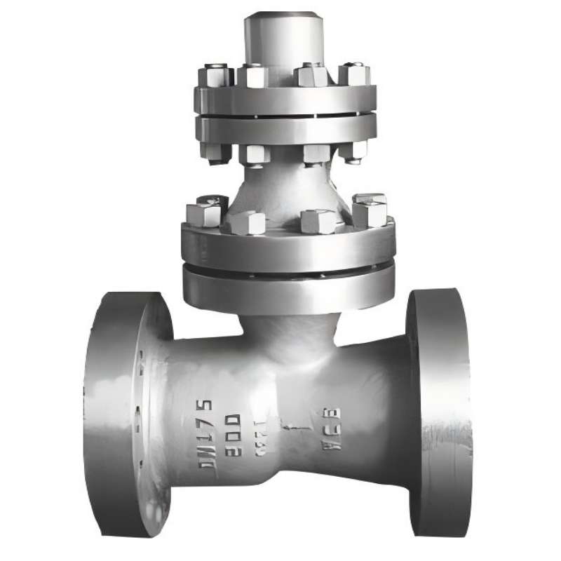 H48Y empty discharge check valve;empty discharge check valve
