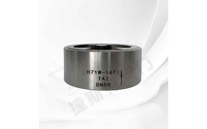 Titanium check valve