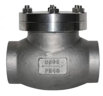 Low Temperature Check Valve,Check Valve