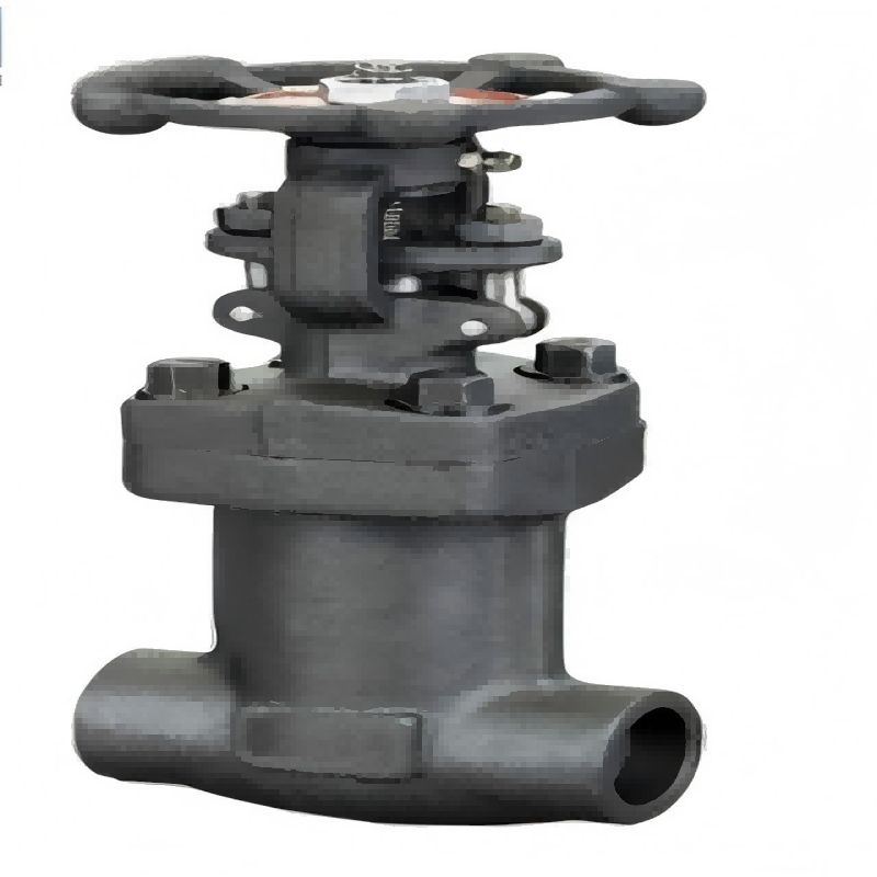 Forged Steel Bellows Globe Valve