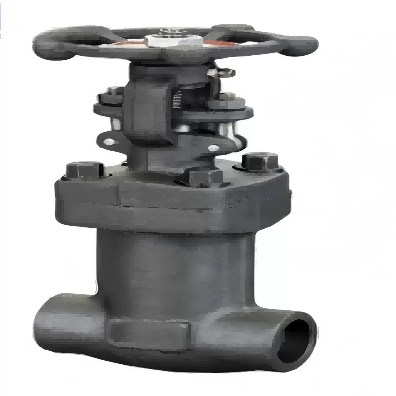 Forged Steel Bellows Globe Valve
