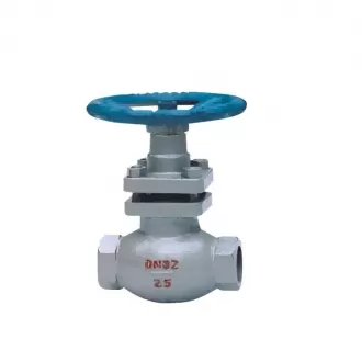 Internal threaded plunger valve,threaded plunger valve