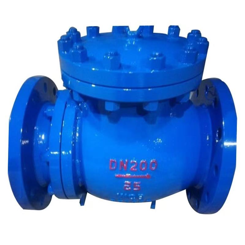 Ceramic check valve，Ceramic valve，Check valve