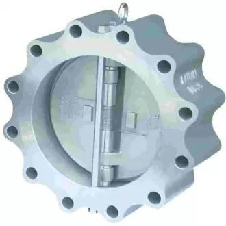 Support lug check valve, check valve