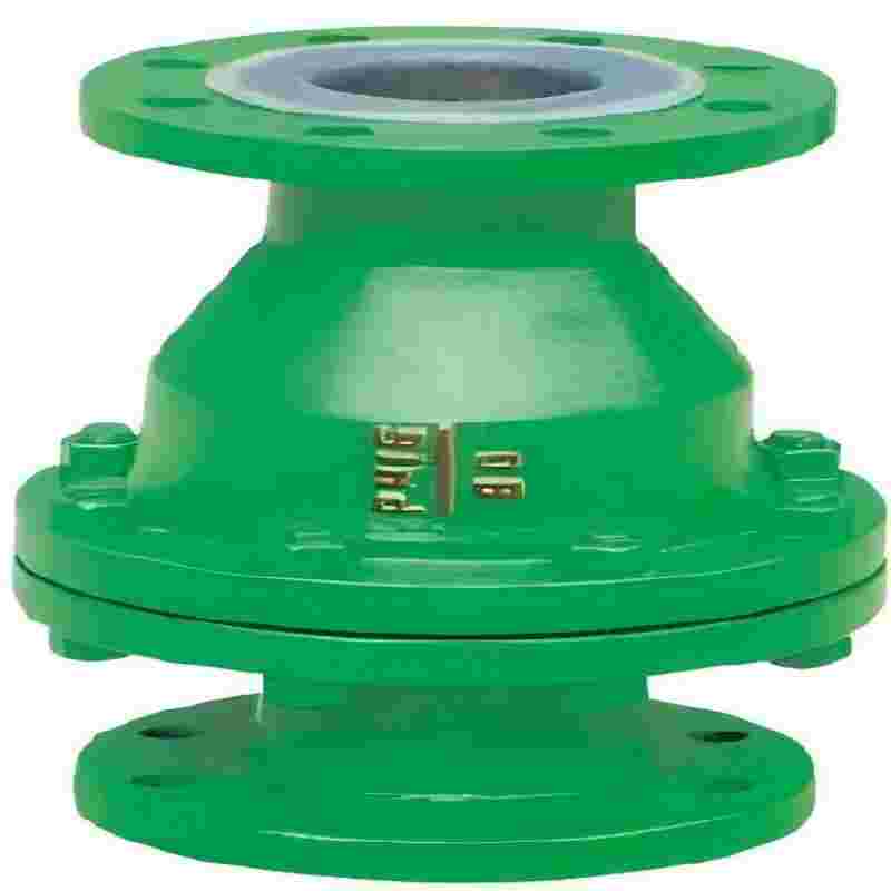 Fluorine backed swing check valve,check valve