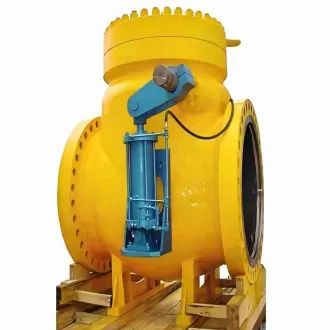 Swing check valve,check valve