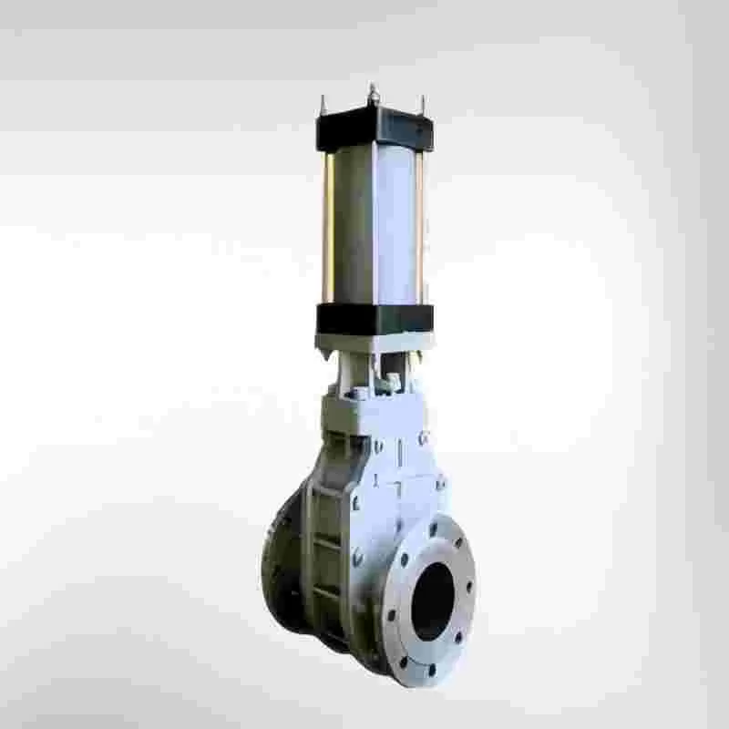 Dry ash gate valve, gate valve
