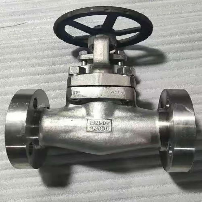 Hastelloy Globe Valves, Hastelloy Valve,Globe Valve