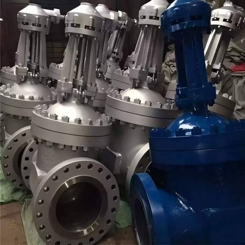 Z441Y- Spur gear gate valve,Spur gear gate valve,gear gate valve,gate valve