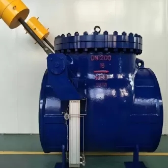 Pneumatic check valve,check valve