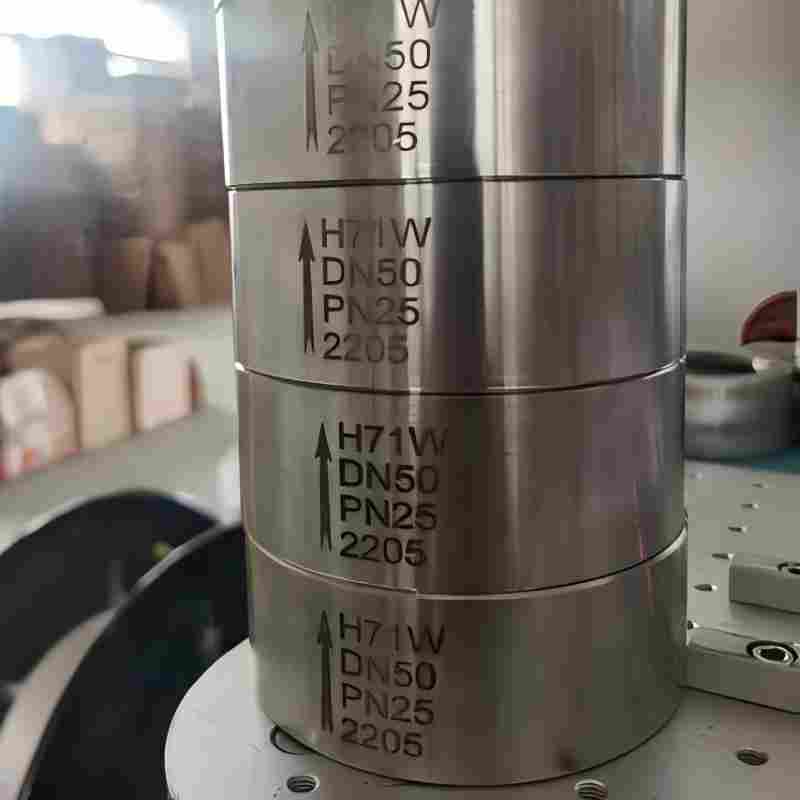 2205 double-phase steel lift wafer check valve, 2205 lift wafer check valve,check valve