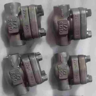 F53 duplex steel threaded check valve, steel threaded check valve,check valve