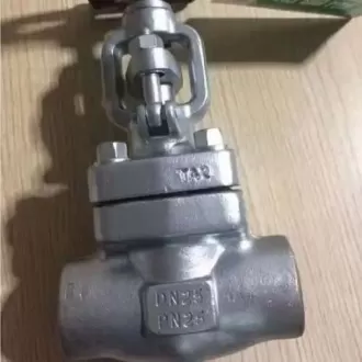 Butt-welded titanium gate valve, Butt-welded gate valve, Titanium gate valve