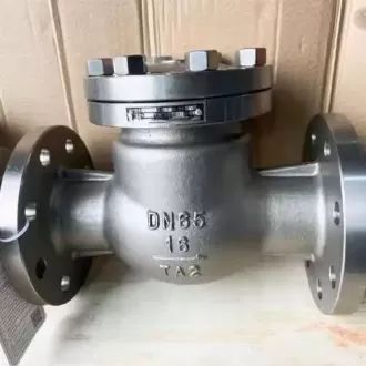 Swing titanium check valve, Swing check valve, Titanium check valve