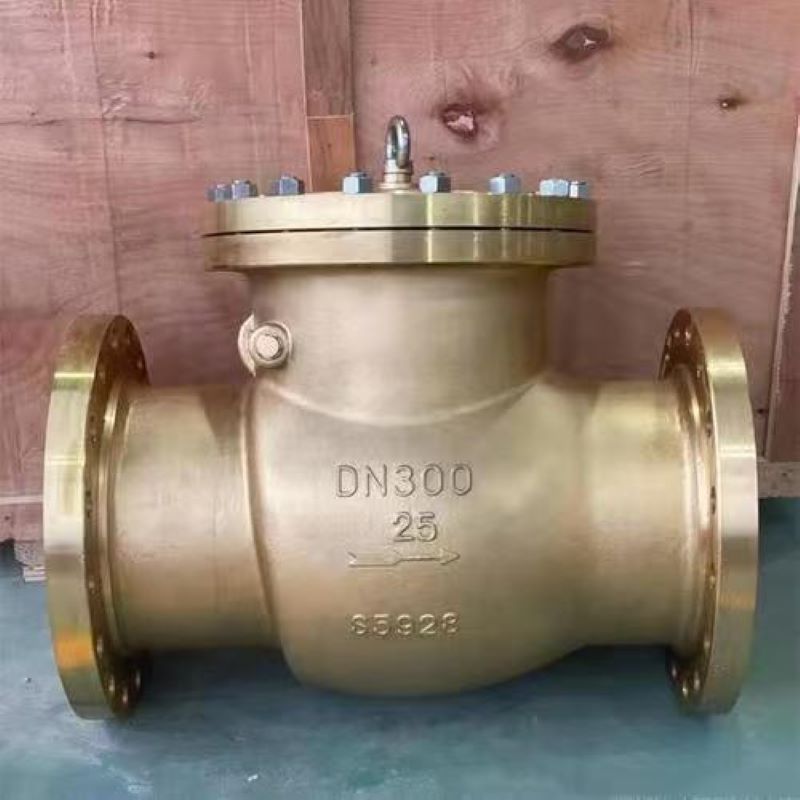Nickel-aluminum bronze check valve,  Special material check valve, check valve