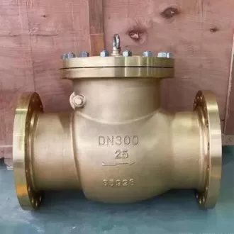 Nickel-aluminum bronze check valve,  Special material check valve, check valve
