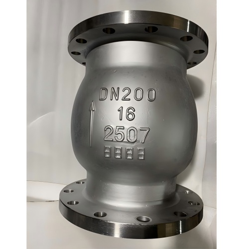 Double-ended stainless steel vertical check valve 2205-2507,check valve 2205-2507